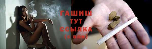 ECSTASY Белокуриха