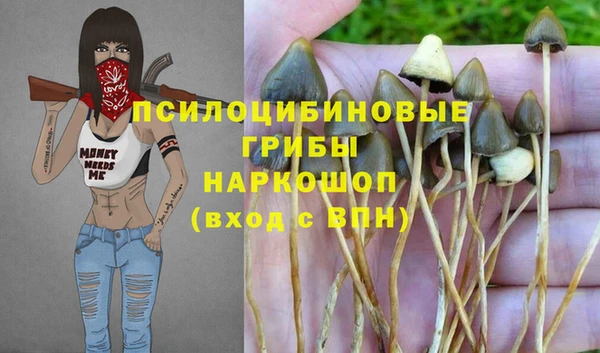 эйфоретик Богородск