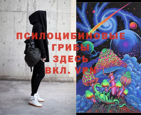 ECSTASY Белокуриха